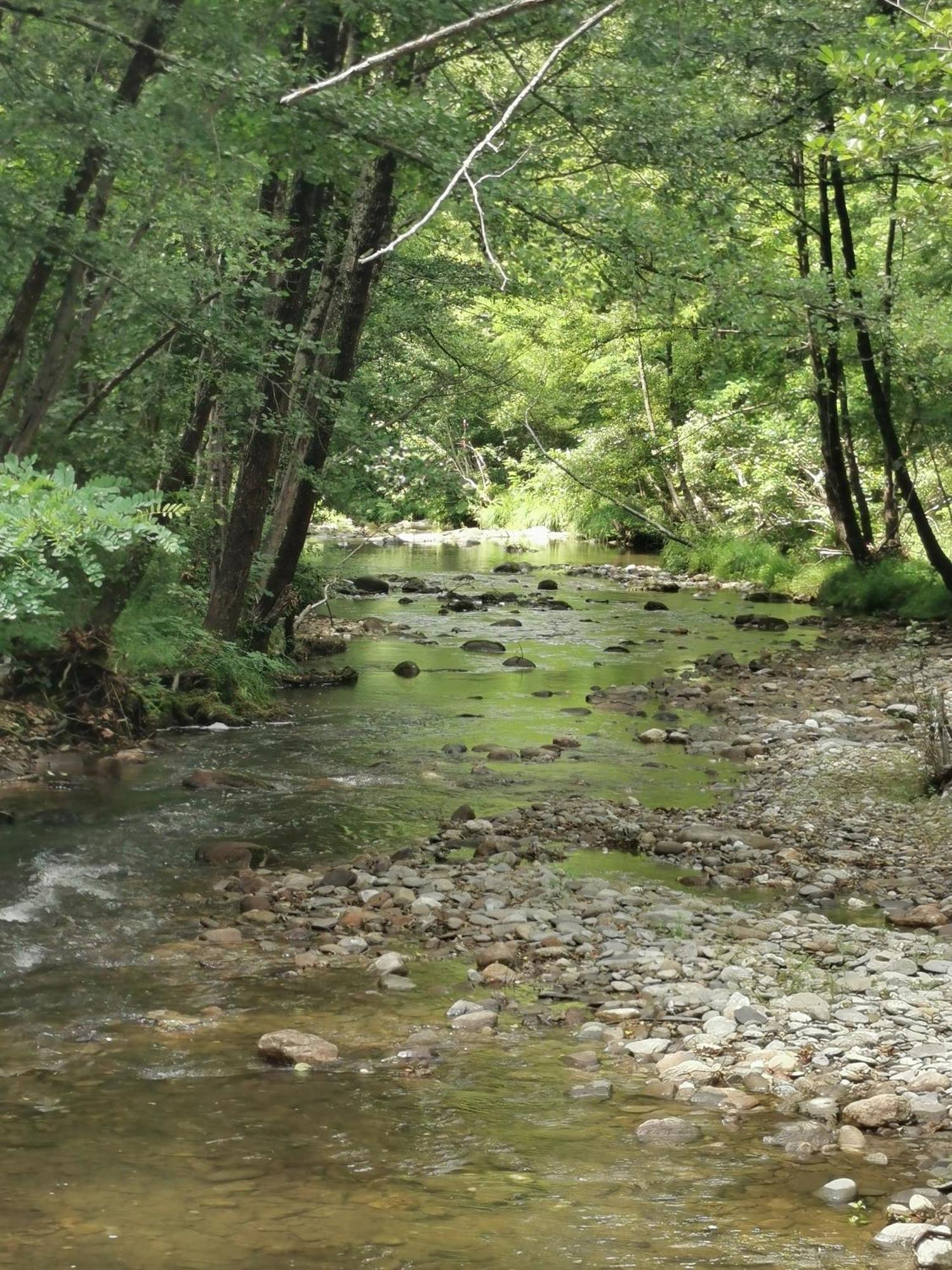 Mes Maisons Gardoises, Two Gites Sleeping 13 With Two Private Pools, Kids Room, Laundry, Disco, Free Wifi, Linen And Dog'S Are Welcome Gagnieres Екстер'єр фото